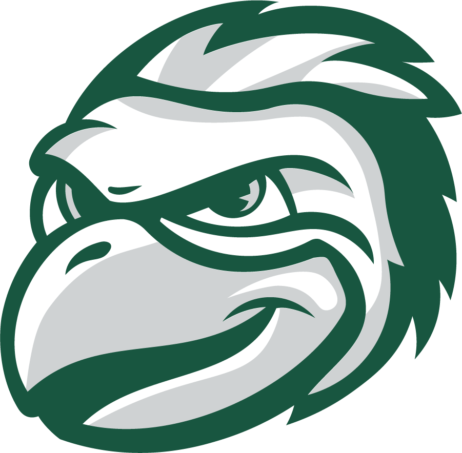 Wisconsin-Green Bay Phoenix 2020-Pres Mascot Logo v2 t shirts iron on transfers
